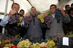 Üzüm Festivali yağmur altında yapıldı