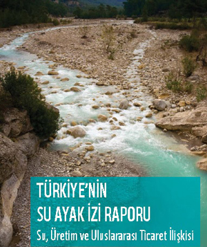 Su Ayak İzi Raporu: Türkiye, 2030 yılında su sıkıntısı çeken bir ülke ol