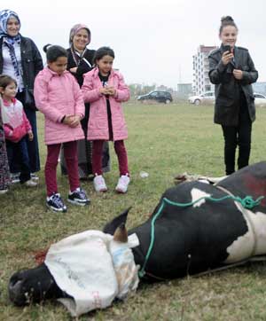 BAYRAM MAGANDASI, BALKONDAYKEN SIRTINDAN VURDU