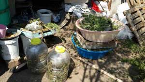 UYUŞTURUCU SUÇUNDAN 9 AYDA 1308 KİŞİ GÖZALTINA ALINDI