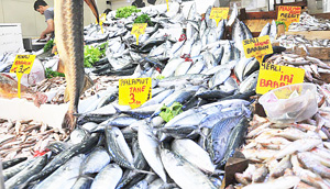 Davut Kıyak: Bir kilo et 30 lira, 1 kiloluk palamut 5 lira