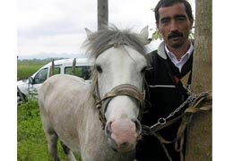 Canik atları klonlanabilecek