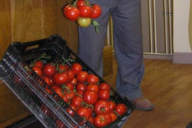 Örnek olsun diye domatis gönderdi