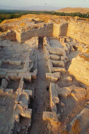 5 yıllık höyük 'Gelecek Turizmde' projesiyle tanıtılacak