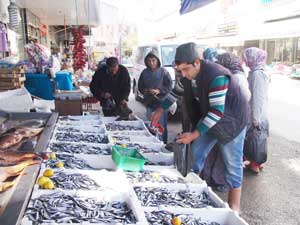 Hamsinin fiyatı 3 liraya düştü