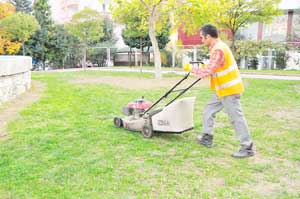 Atakum Belediyesinden park ve  bahçelerde kış bakımı