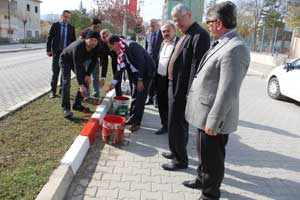 Kavak Kırmızı Beyaz Oluyor