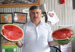 Bafra karpuzunda hormon olmaz