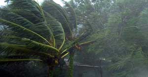 Hagupit tayfunu yıktı geçti