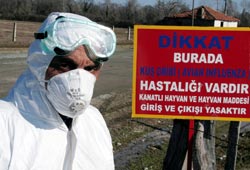 6 bin kişiye sağlık taraması