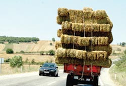 Yollarda Tehlike Saçıyor