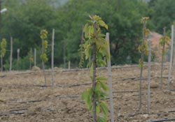 Çiftçilere ödeme desteği