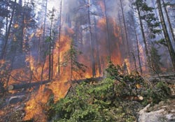 Vatandaşa yangın eğitimi