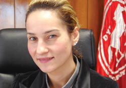 Teşvikli iller kapıyor