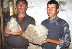 Kars'ta dolu şaşkınlığı