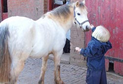 Bu çocuk hayvanlarla konuşuyor!