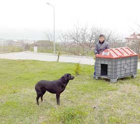 Atıklar, hayvanlara yuva oluyor