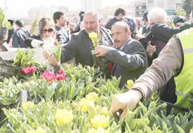 İLKADIM'DAN ÜCRETSİZ FİDAN