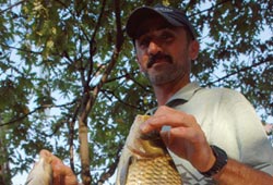 Büyüleyen ilçe Almus