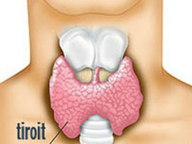 Kilo artışı ve halsizliğinizin nedeni tiroit olabilir