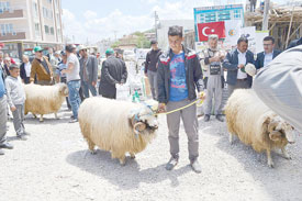 KADIN ÇİFTÇİLERİMİZ LADİK’TE YARIŞTI