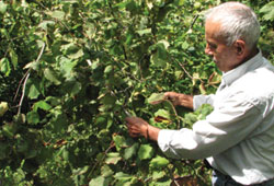 Doğru bildiğimiz yanlışlar