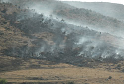 Tokat'ta korkutan yangın