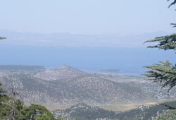 Parklar yaban hayatını kurtardı