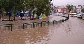 Marmara'ya zehir saçıyor