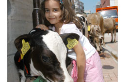 Doğa ve kültür festivali