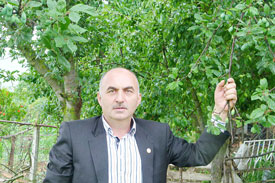 Samsun’da Organik Fındık Üretimi Arttı
