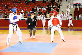 TAEKWONDO İL BİRİNCİLİĞİ SONA ERDİ