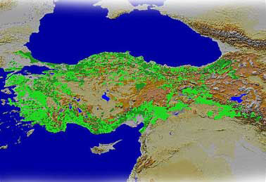 Servetin üzerindeyiz