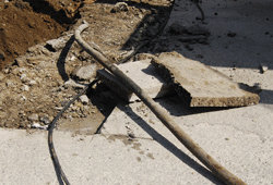 Bilinçsizlik öldürüyordu