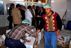 İmalat sanayiinde kapasite arttı