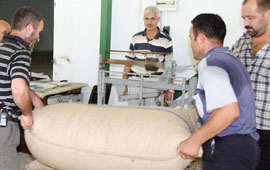 Fındık üreticisi isyan etti