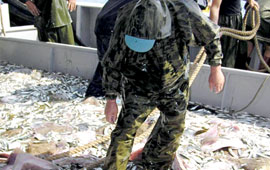 Balıkçılar yeni sezondan umutlu