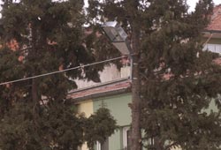 Ağacı budadılar lamba taktılar