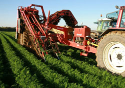 'Zirai ilaç yok temiz üretim var'