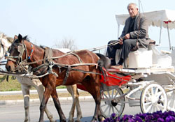Büyük ada Samsun'a taşındı