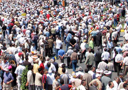 Fındık mitingi yok