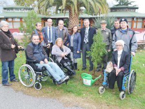 ENGELLİLER AĞAÇ İÇİN ÇUKUR AÇTI