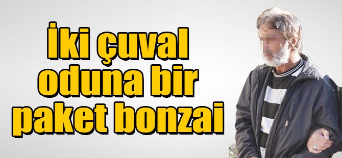 İki çuval oduna bir paket bonzai