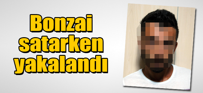 Bonzai satarken yakalandı