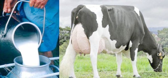 SÜT ÜRETİCİLERİ DE ZORDA