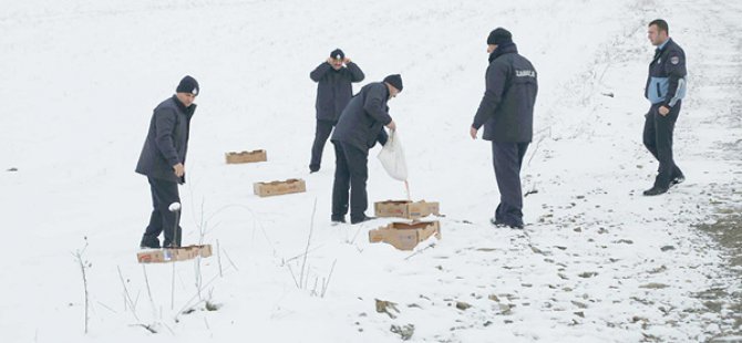 İLKADIM’DAN SOKAK HAYVANLARINA YARDIM