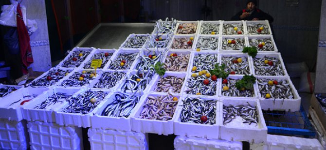 KAR, BEREKETİYLE GELDİ