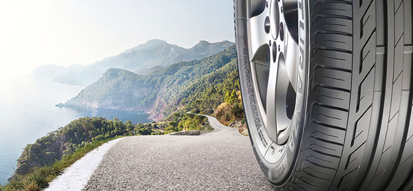 Otomobil Lastiğinde Bonzai