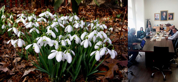 DELTANIN ÜÇ GÜZELİ