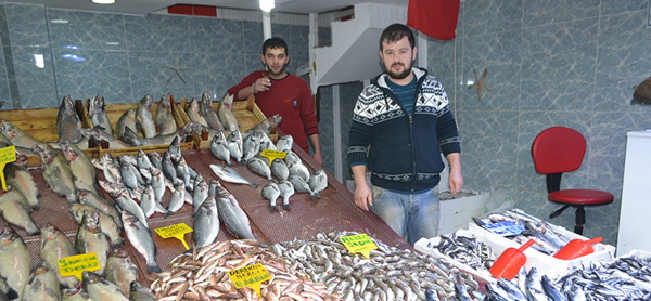 SICAK HAVA HAMSİYİ KAÇIRDI